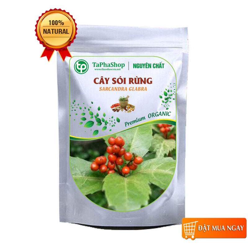 Cây sói rừng khô 1kg - tấn phát