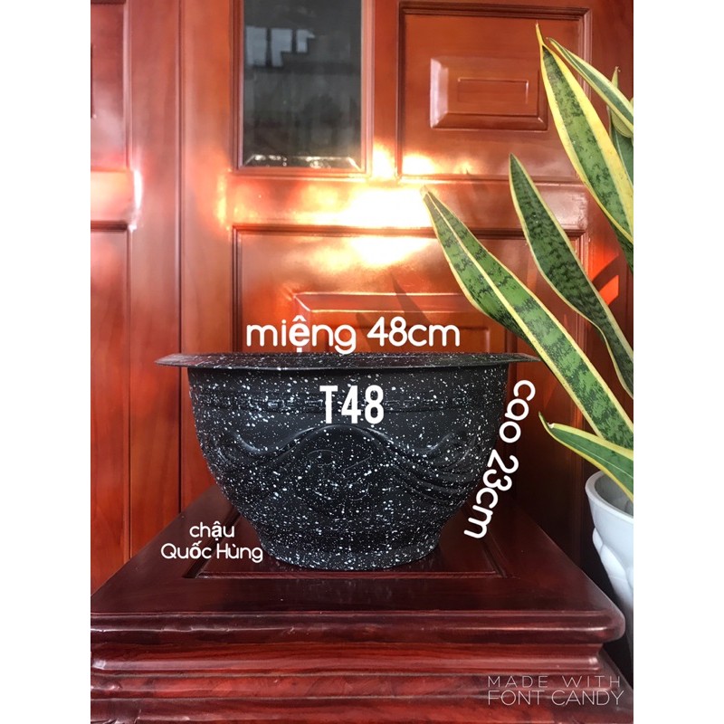 Chậu nhựa đen giả đá trồng cây truyền thống T48