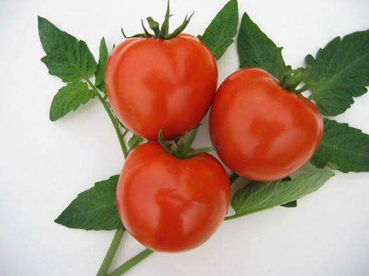 [HCM]Gói 0.1g hạt giống cà chua chịu nhiệt F1