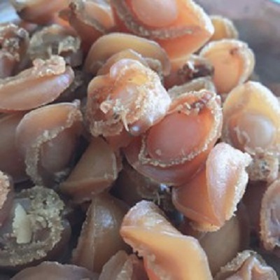 Bào Ngư Khô 50gr xuất khẩu y hình