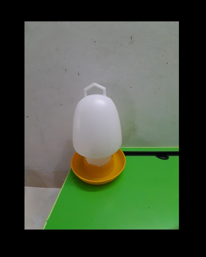 BÌNH UỐNG NƯỚC DUNG TÍCH LỚN CHO CHIM,VẸT, BỒ CÂU, GÀ, VỊT