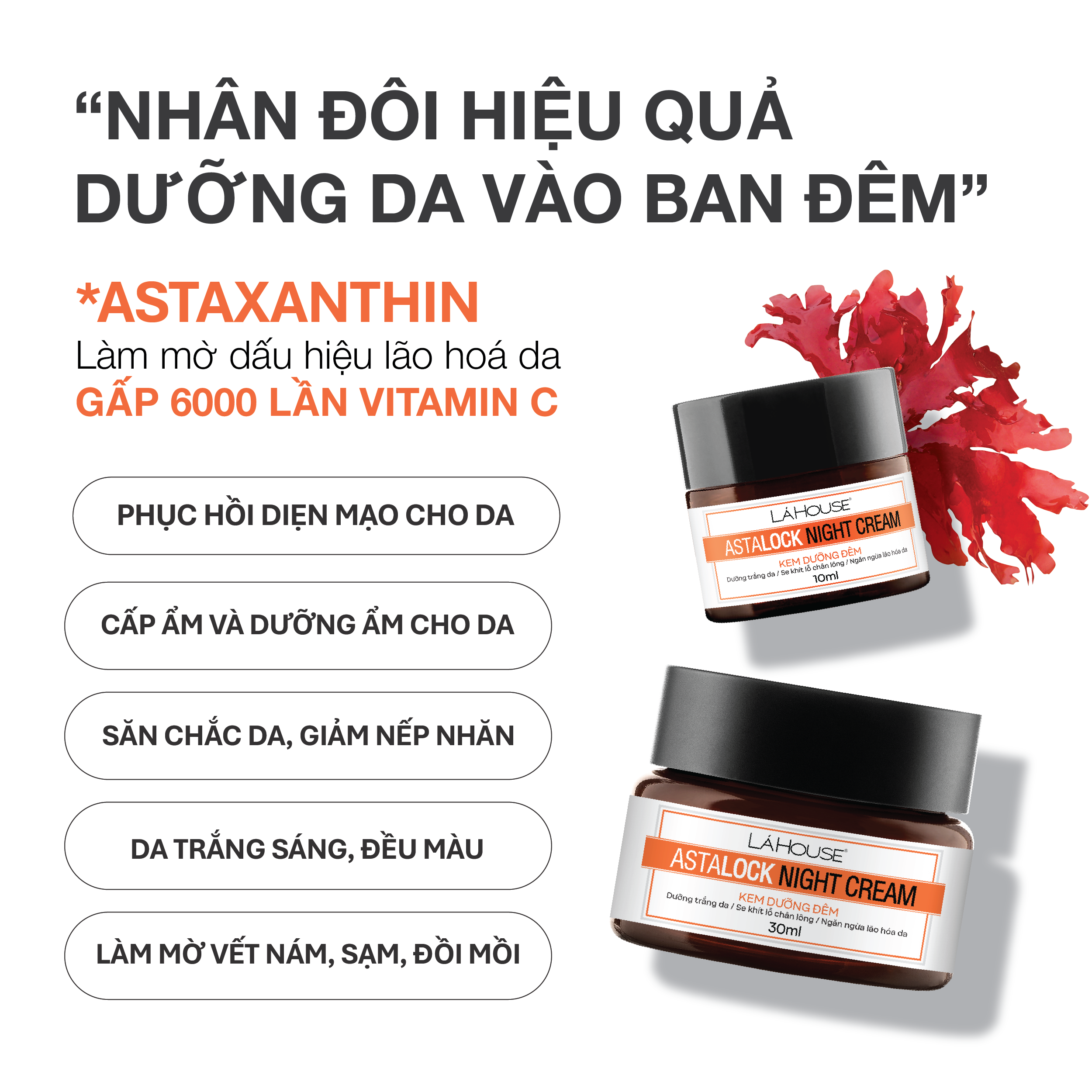 Kem dưỡng đêm,dưỡng ẩm,dưỡng trắng da LÁ HOUSE Astalock Night Cream 10ml