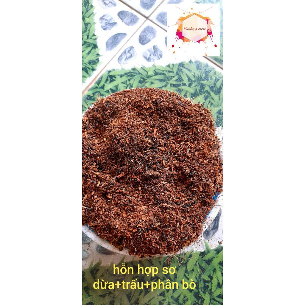 Xơ dừa+trấu+phân bò trộn sẵn trồng cây