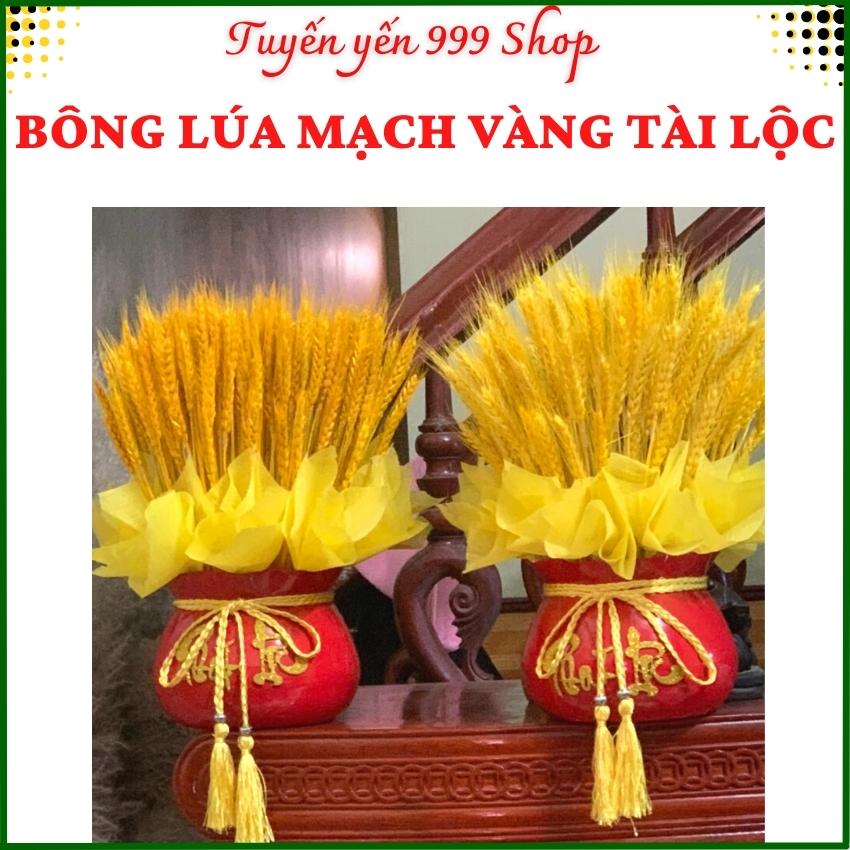 🌾bông lúa mạch vàng khô 999 hot trend tết 2023- bông hoa lúa mạch trang trí decor phòng siêu xinh- bó hoa lúa mạch khô màu vàng-lúa vàng-tuyết yến 999 shop
