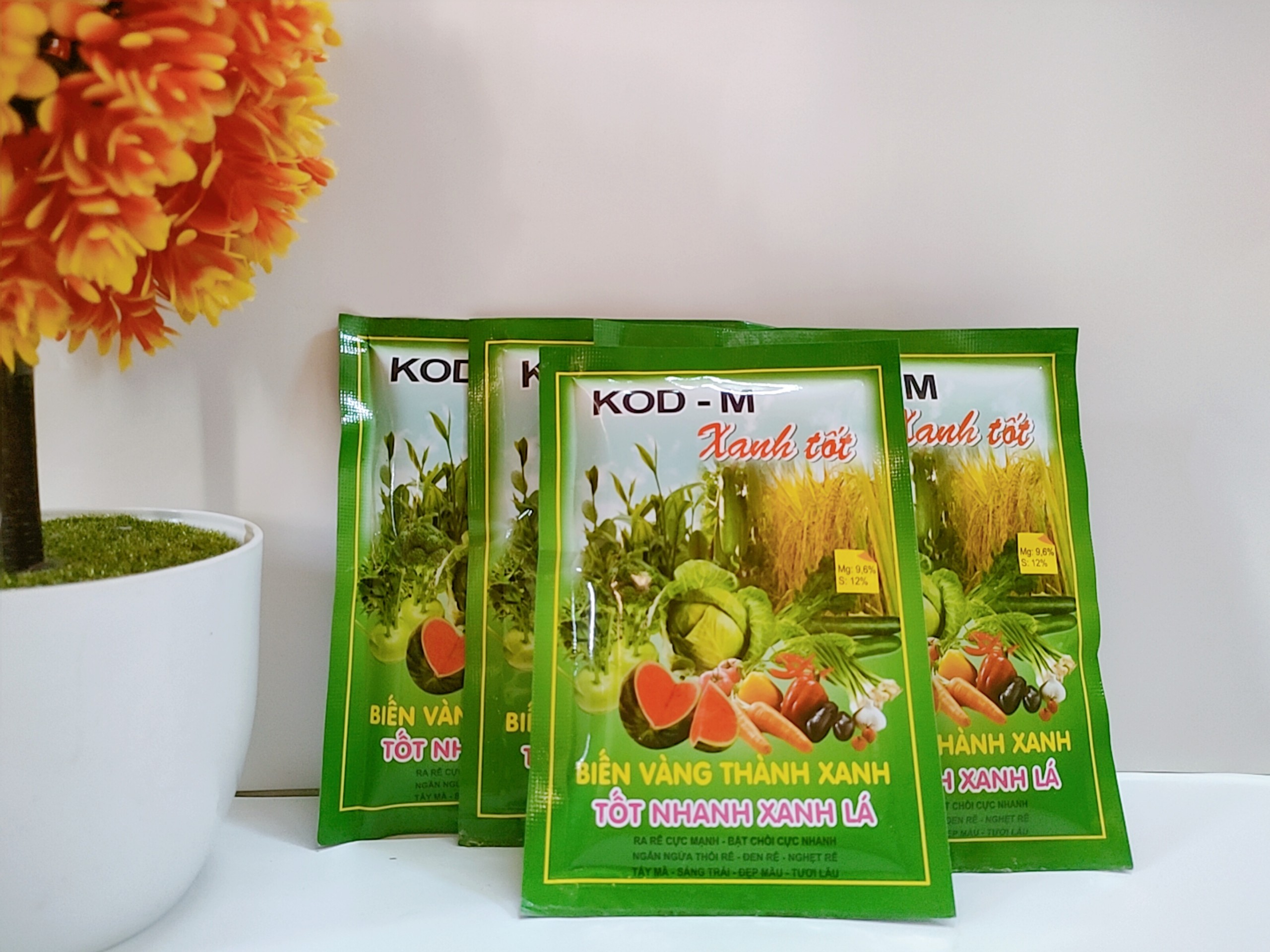 SET 5 GÓI XANH TỐT 50GR BIẾN VÀNG THÀNH XANH