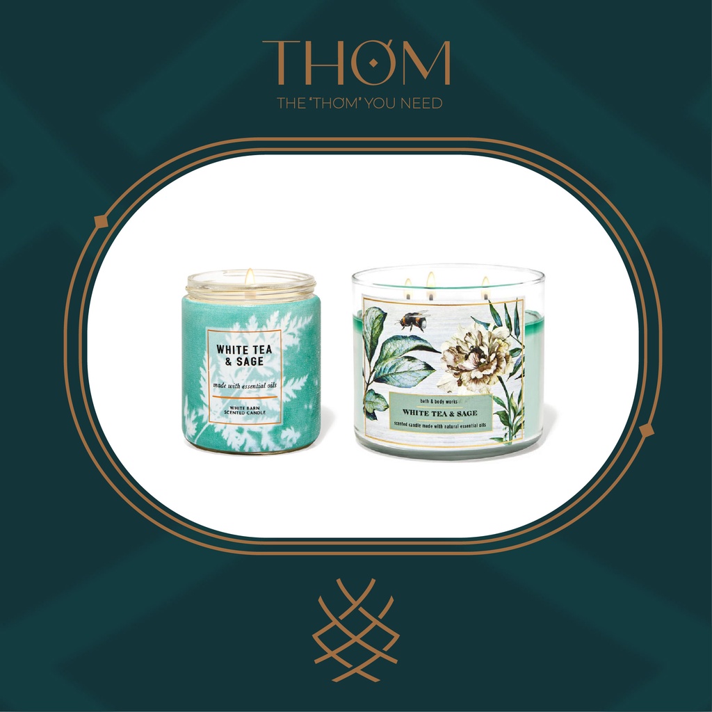 WHITE TEA & SAGE Nến thơm 3 bấc 411gr 1 bấc 198g Bath and Body Works 3