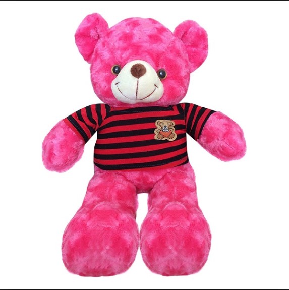 [HCM]Gấu Bông Cao Cấp Teddy Áo Thun Size 50cm hàng VNXK (5 Màu)