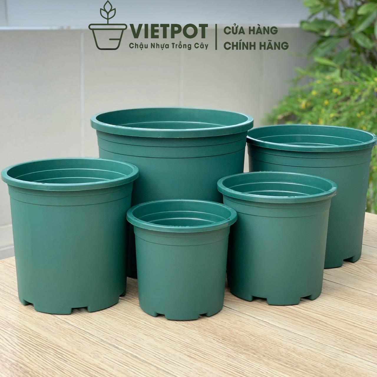 Chậu nhựa trồng cây VIETPOT, mã 25, màu xanh trơn, trồng hoa kiểng, để bàn, ban công, sân vườn
