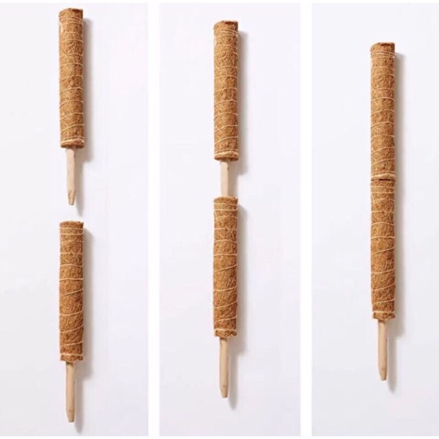 [HCM]Trụ cột xơ dừa trồng cây leo cột có thể nối dài 50/40/30cm