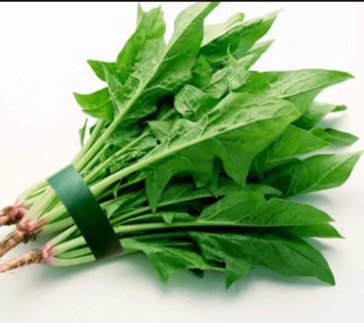 Hạt giống cải bó xôi 5gram