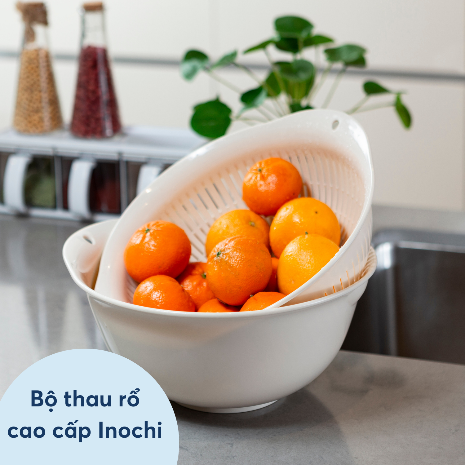Bộ thau rổ cao cấp 23cm, 30cm, 35cm Inochi - Yoko
