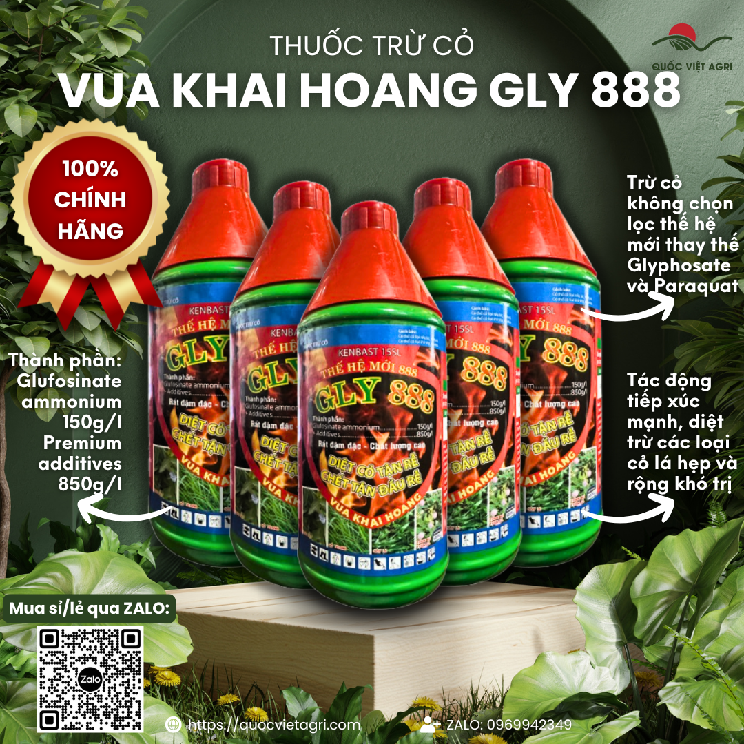 Combo 5 chai Thuốc trừ cỏ lưu dẫn VUA KHAI HOANG GLY 888 chai 900ml - Diệt trừ cỏ tranh thài lài trinh nữ thân gỗ cây le