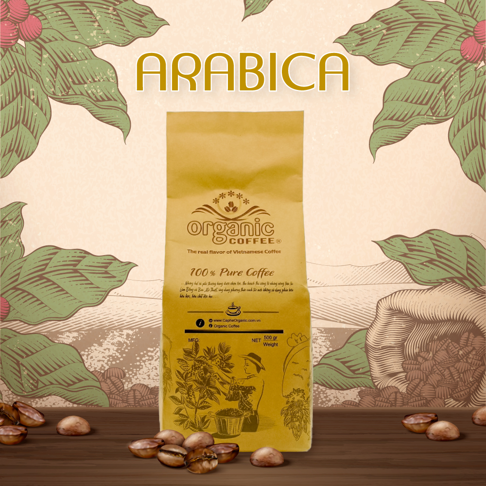 Cà phê arabica nguyên chất - loại ngon - gói 500gram - thương hiệu organic coffee