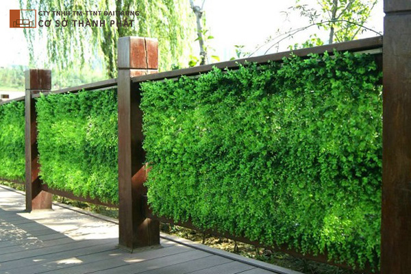 [HCM]Thảm nhựa cỏ nhân tạo trang trí vĩ cỏ tai chuột 40cm x 60cm Đại Trung