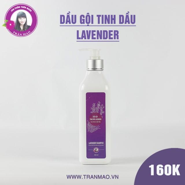 Dầu gội hoa oải hương trần mao
