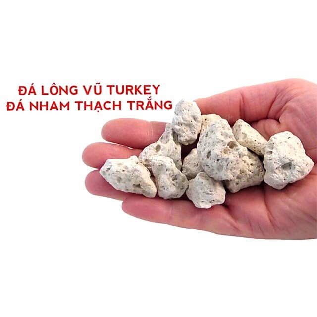 100gr Đá lông vũ 1-2cm Đá bọt Nham thạch trắng Pumice phụ kiện lọc nước hồ cá cảnh thủy sinh chất lượng cao