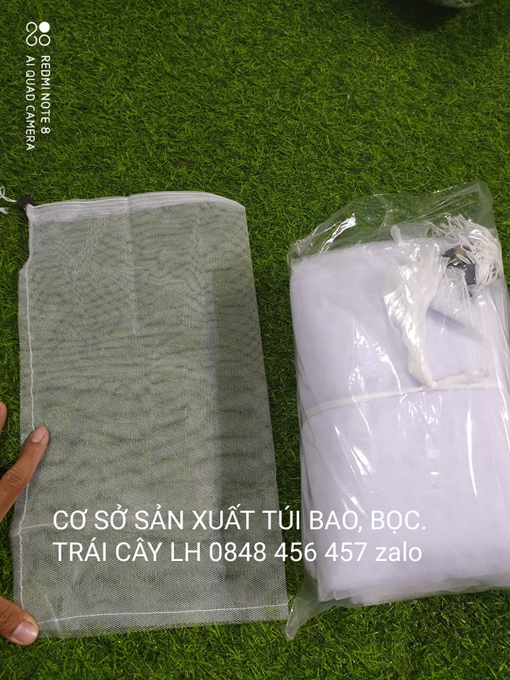 [20*35cm] 100 CÁI TÚI BAO,BỌC MƯỚP,KHỔ QUA ,XOÀI ,BƠ 034. kích thước 20*35
