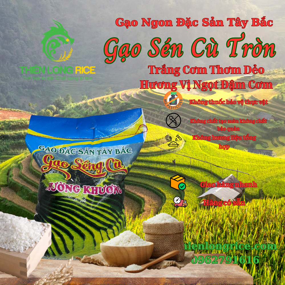 Gạo Sén Cù Hạt Tròn Đặc Sản Sapa Hàng Loại 1 Thiên Long Rice Chuẩn Cơm Thơm Ngon Túi 10Kg thay mẫu bao mới