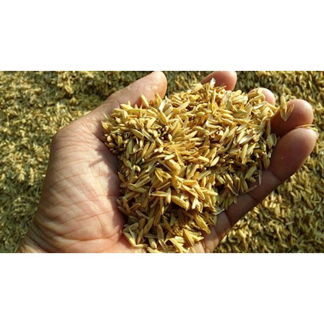 GÓI 1KG Giá thể Vỏ trấu tươi trồng LAN ,rau ,hoa, thủy canh, chăn nuôi, TRỘN VỚI ĐẤT SẠCH VÀ TRICHODERMA