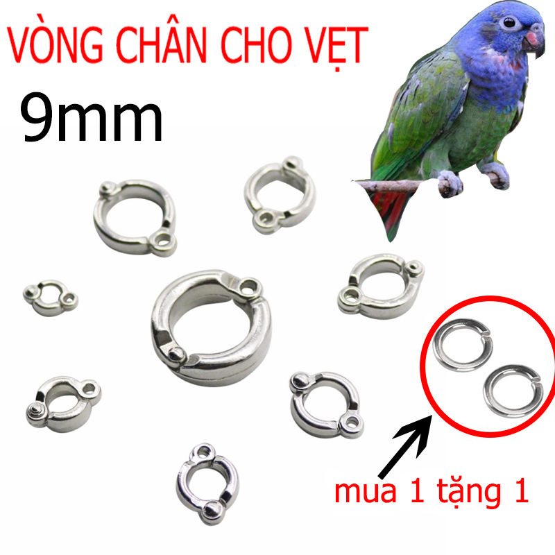 9mm vòng đeo chân vẹt đủ sizeđồ chơi cho vẹt ,dùng phù hợp xích thái, red lori