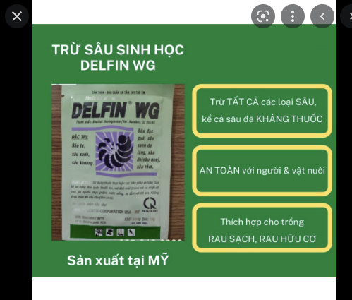 Chế phẩm sinh học delfin 32wg gói 10gr - trừ sâu tơ sâu xanh sâu khoan đục trái - trừ sâu róm gói 10gram