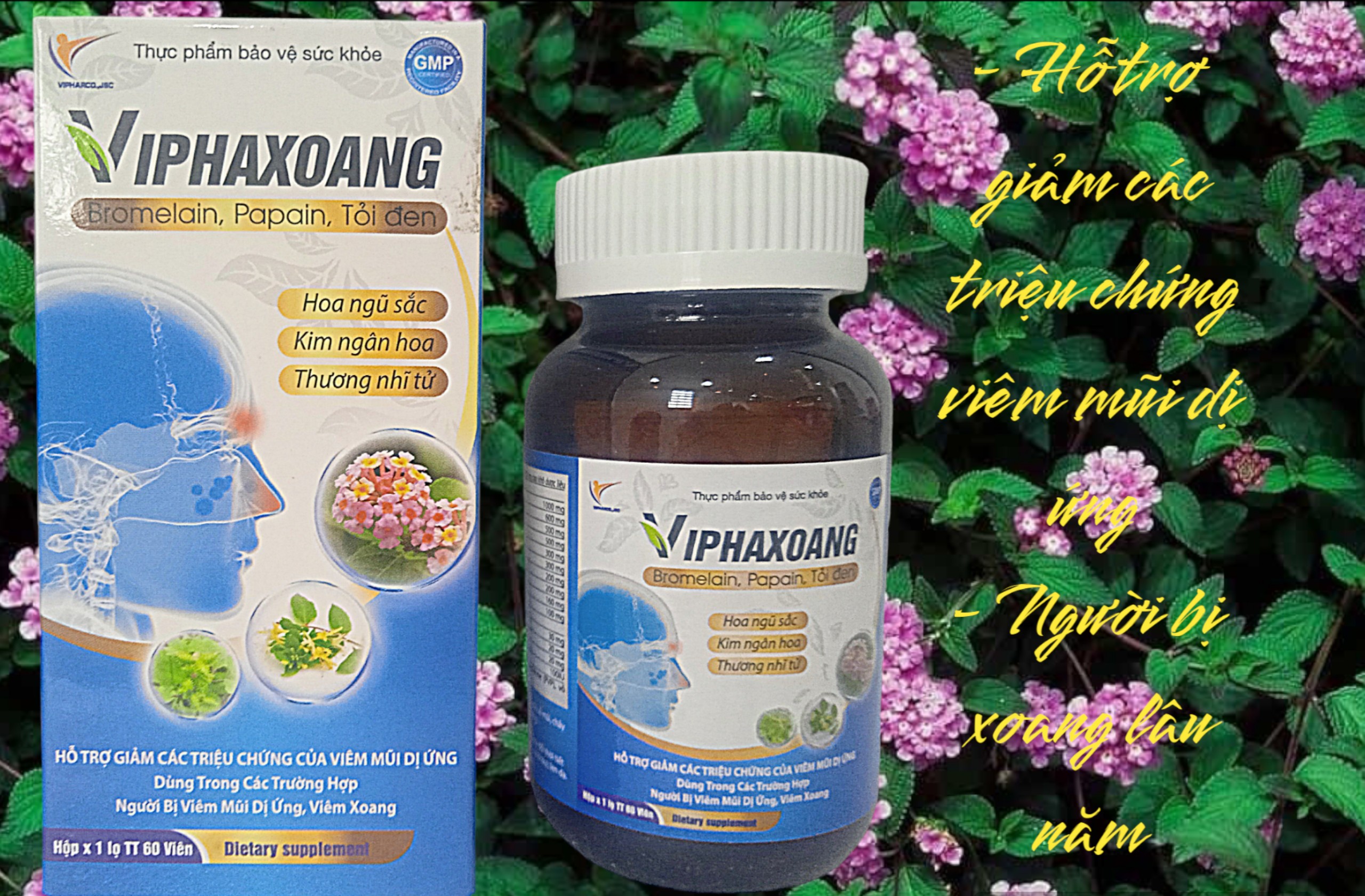 Trị xoang Viphaxoang - Hỗ trợ giảm các triệu chứng viêm mũi dị ứng