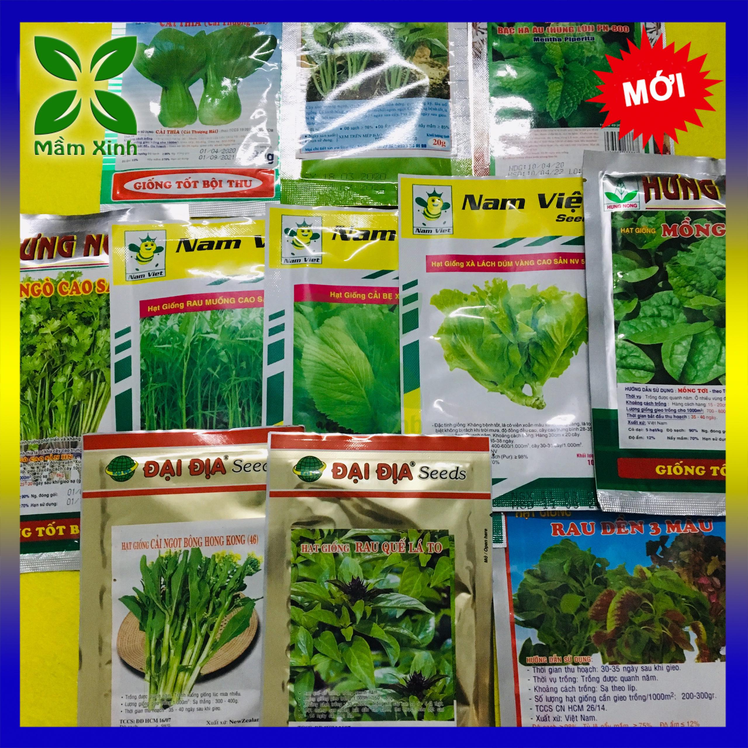 Combo 6 loại hạt giống rau ăn lá dễ trồng gồm cải bẹ xanh, cải ngọt, rau dền, xà lách, tần ô, cải ngồng