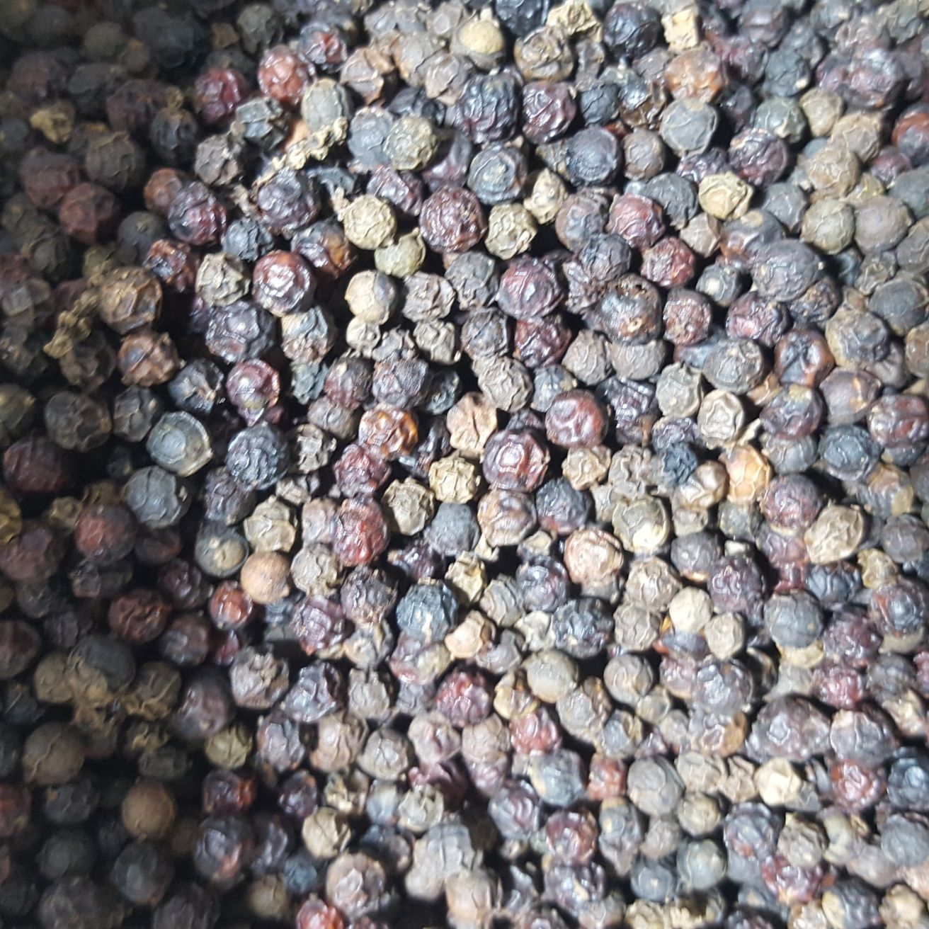 2kg tiêu đen hữu cơ sạch chắc hạt Daklak nhà trồng