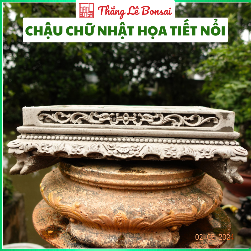 Chậu cảnh chữ nhật - trồng cây bonsai họa tiết nổi