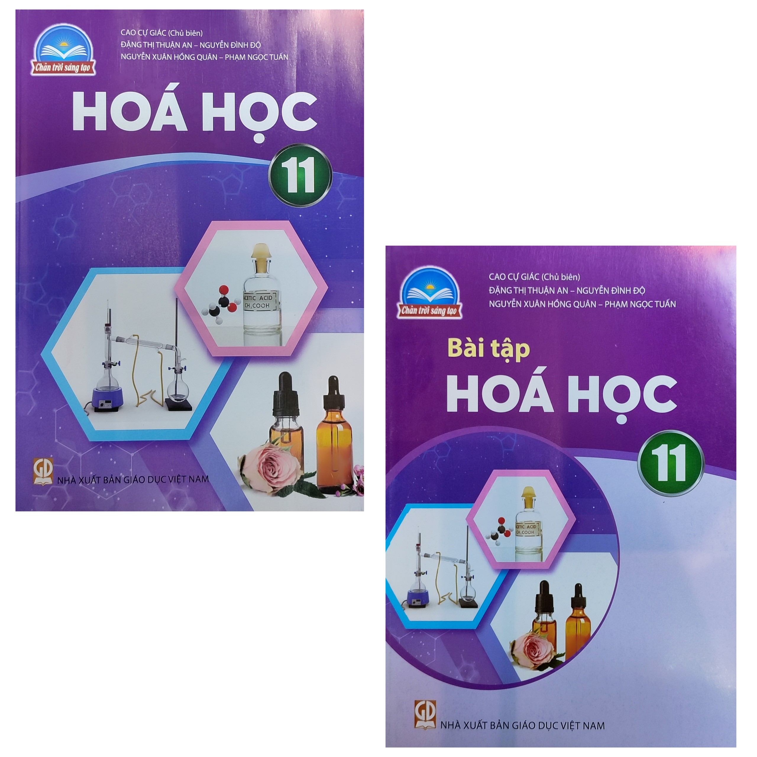 Edubook - Combo Hóa học lớp 11 (Bộ 2 cuốn) Chân trời sáng tạo