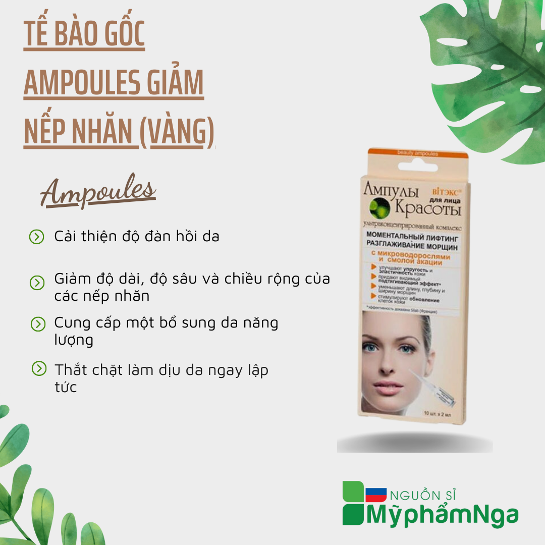 Tế bào gốc Ampoules giảm nếp nhăn