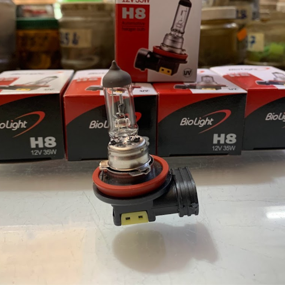 Bóng đèn gầm, đèn cản, đèn sương mù h8 - 12v/35w biolight hàn quốc .