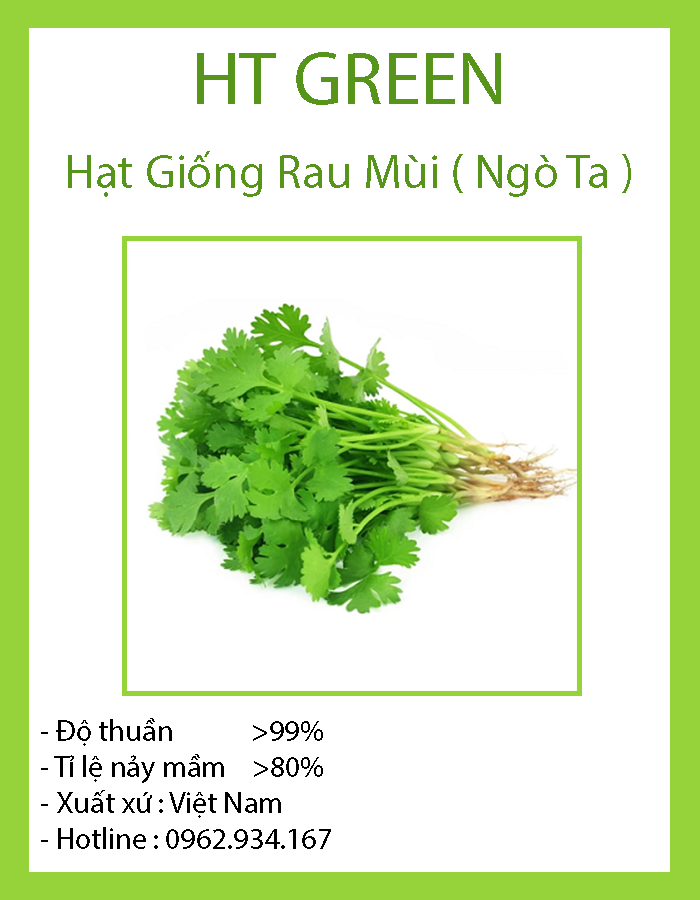 Hạt Giống Rau Mùi - Ngò Ta