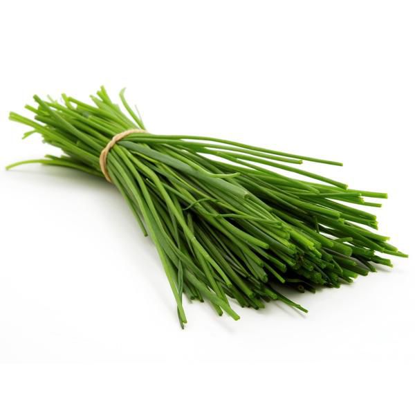 Hạt giống hẹ tây - rado