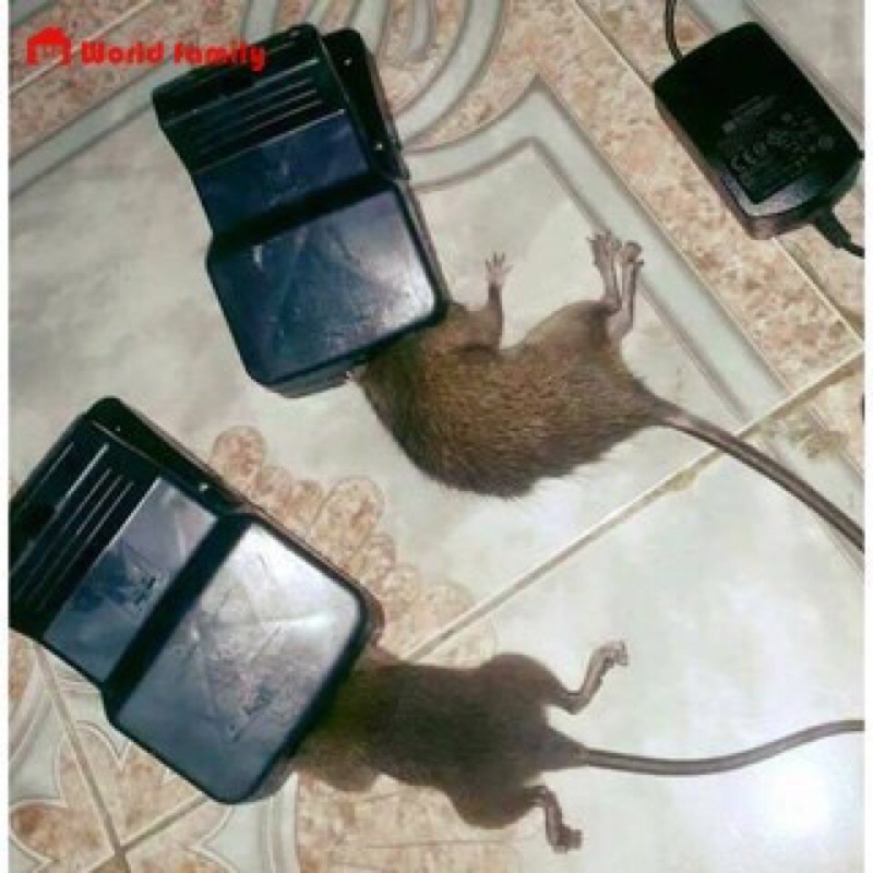 Cạm bẫy chuột thông minh