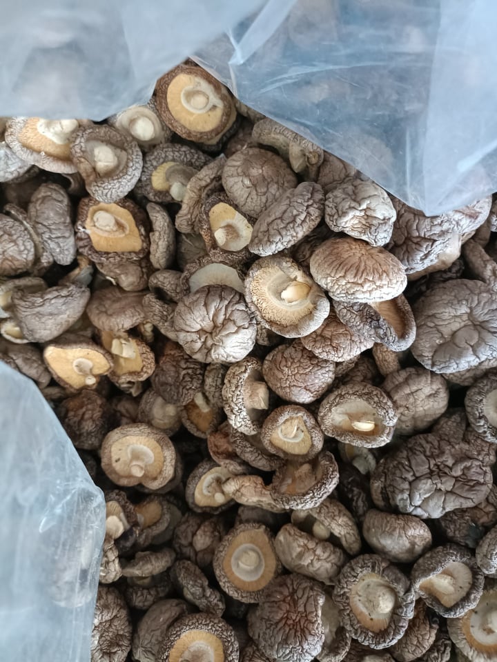 Nấm đông cô 50gr