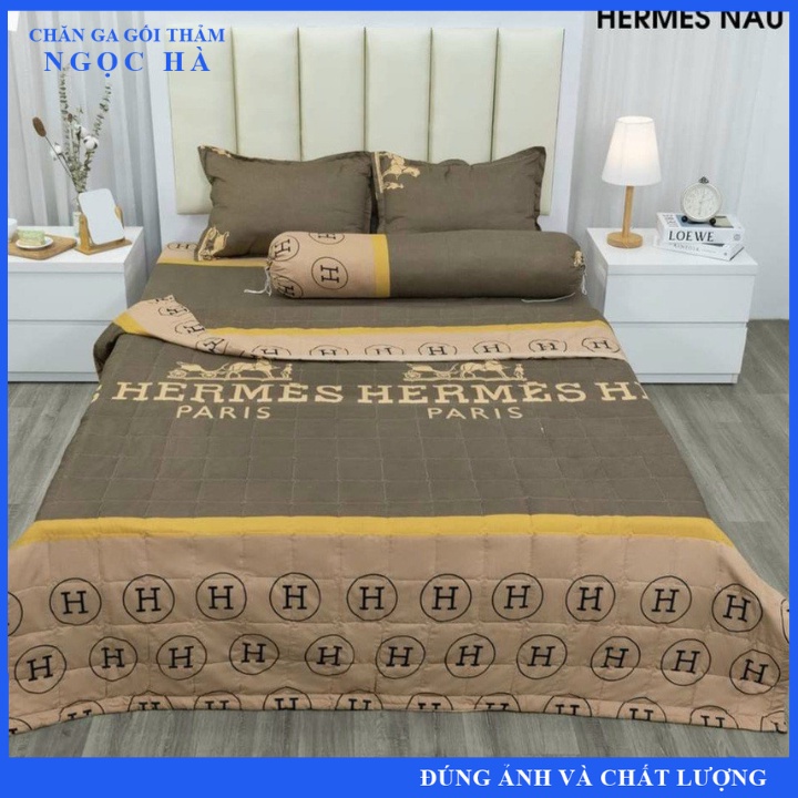 Bộ chăn hè trần bông ga gối 5 món poly cotton mẫu mới được chọn mẫu