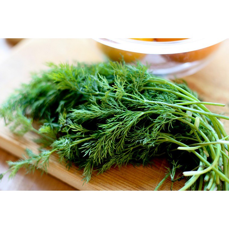 Hạt giống rau thì là 5gr