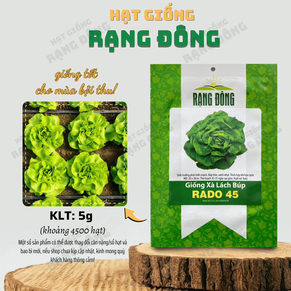 Hạt giống Xà Lách Búp Rado 45 giống Xà Lách Đăm dễ trồng, nhanh thu hoạch - Hạt giống Rạng Đông