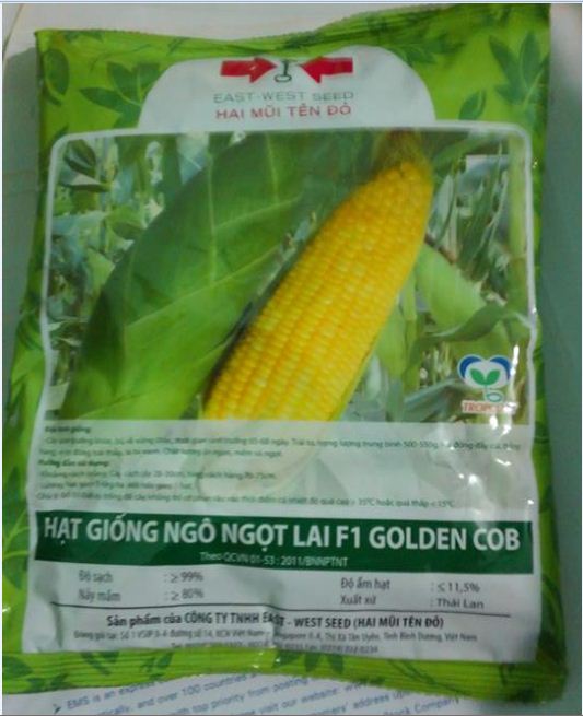Hạt giống ngô ngọt vàng - hai mũi tên đỏ - 1 gói 250gram