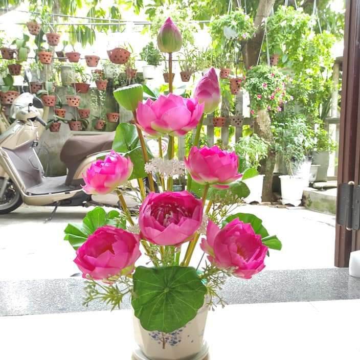 Hoa sen lụa, hoa sen giả loại đẹp cao 60cm trang trí nhà cửa, ban ...