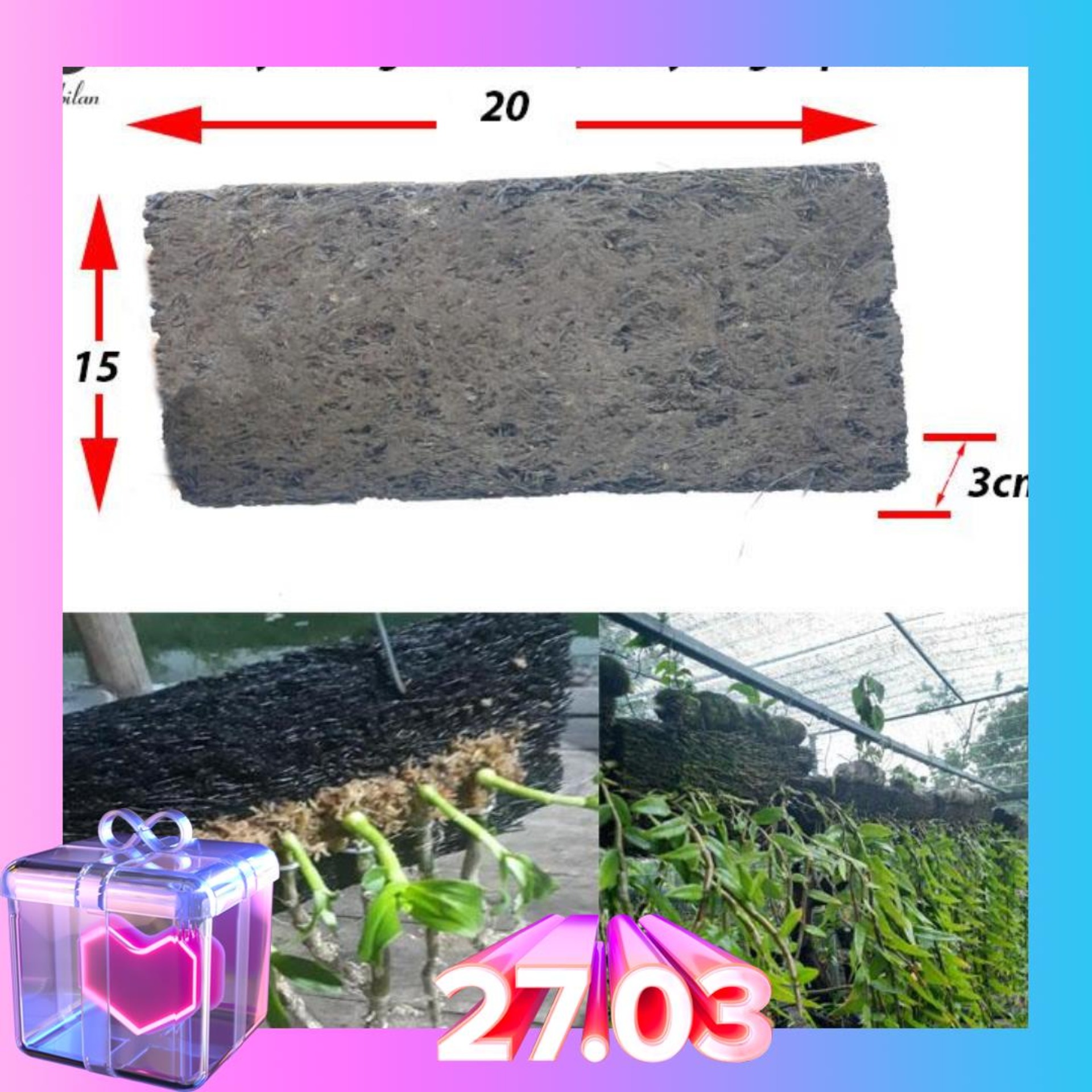 Dớn bảng ghép lan bảng dày 20x15x3