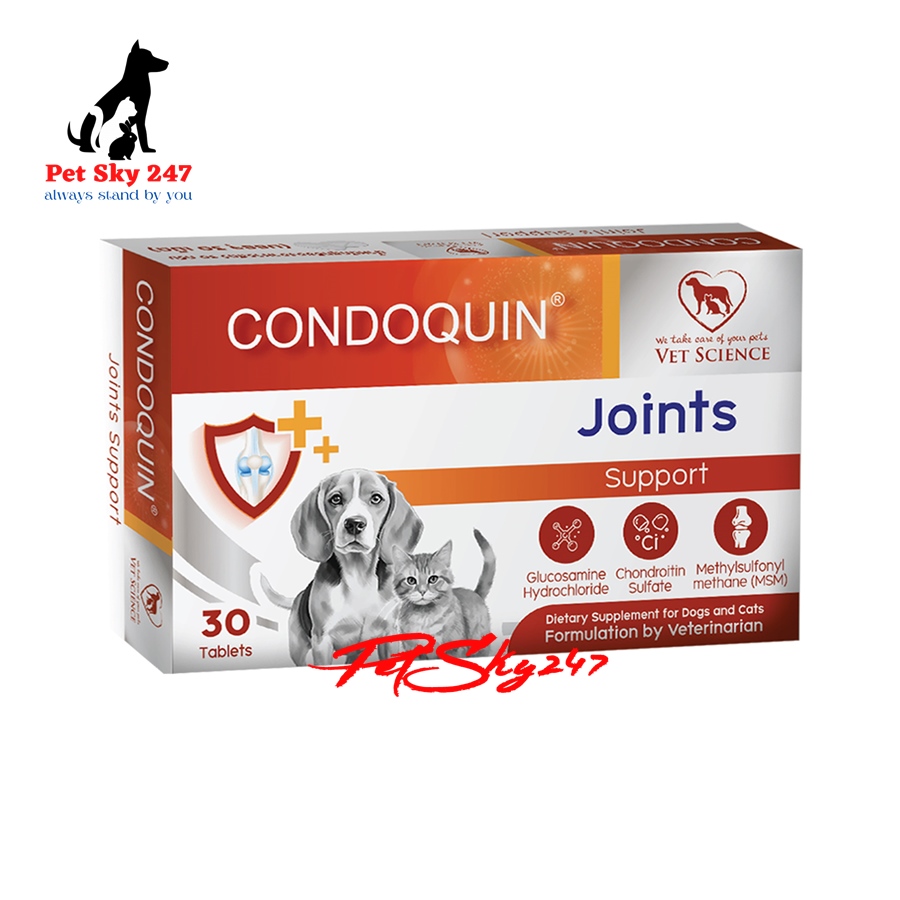 CONDOQUIN Hỗ Trợ Xương Khớp, Tăng Tính Đàn Hồi Cho Gân Và Xương Thái Lan (Hộp 30 Viên)