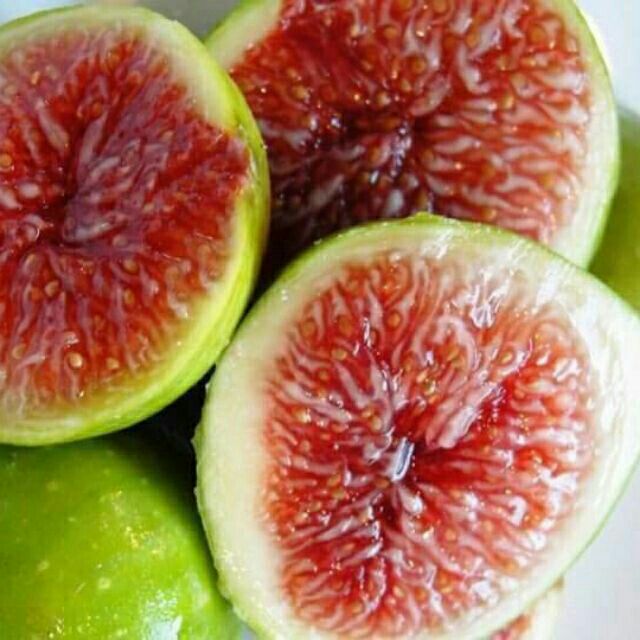 Cây sung mỹ ngọt nhập khẩu f1, chất lượng đảm bảo an toàn đến sức khỏe người sử dụng, cam kết hàng đúng mô tả