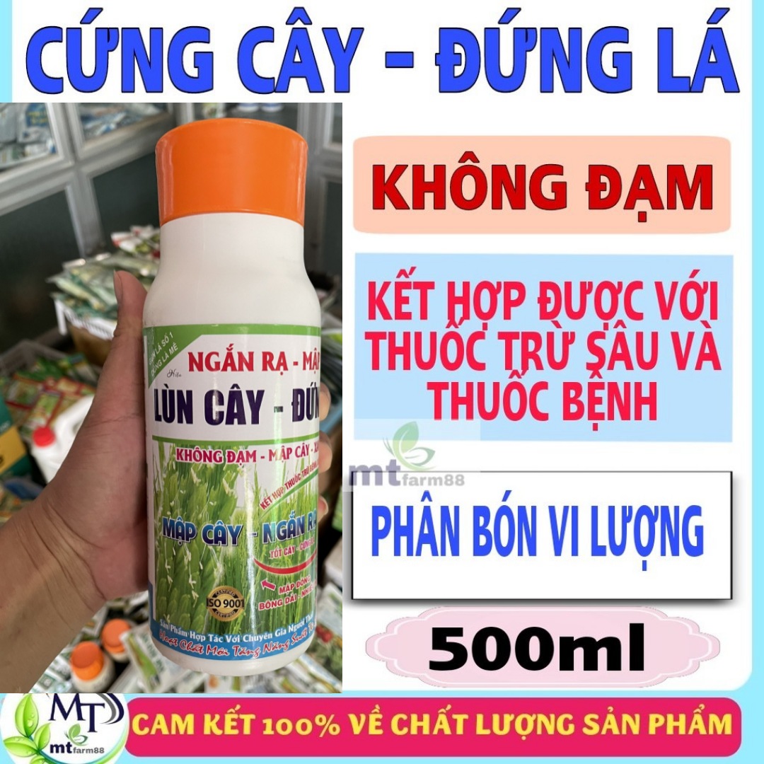 Phân bón lá vi lượng Gùn lá lúa AGRO cứng cây đứng lá - Lùn cây - ngắn rạ - mập thân - kết hợp được với các loại thuốc bvtv khác - chai 500ml
