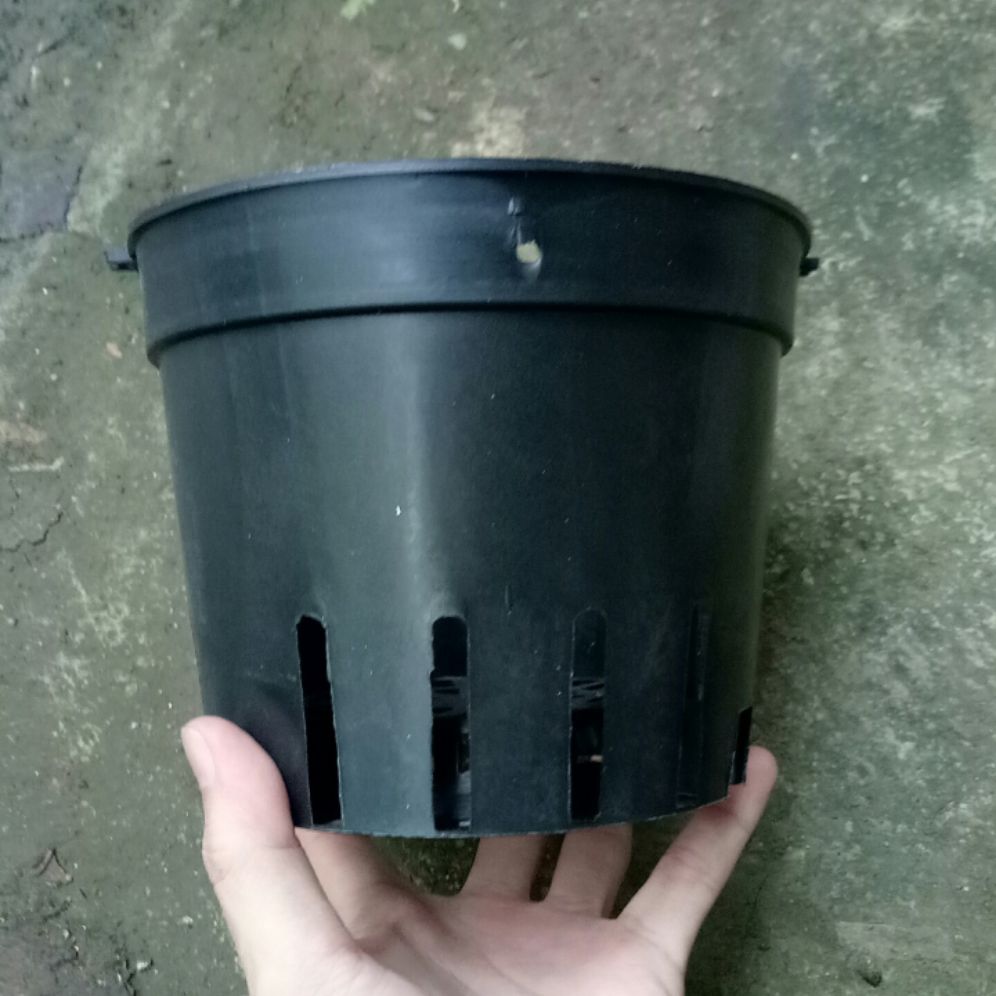10 chậu nhựa size 10cm trồng lan