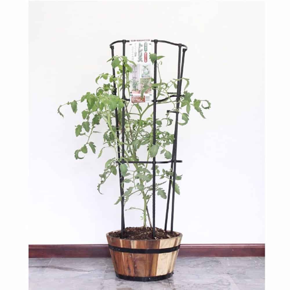 Giàn dây leo đa năng dạng cuộn cao 120cm - ban công xanh