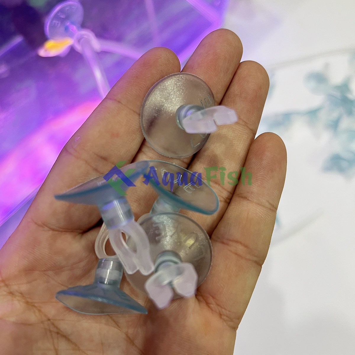 Combo 5 hít kính giữ dây sủi phi 4mm, cố định dây sủi cho bể cá bằng kính