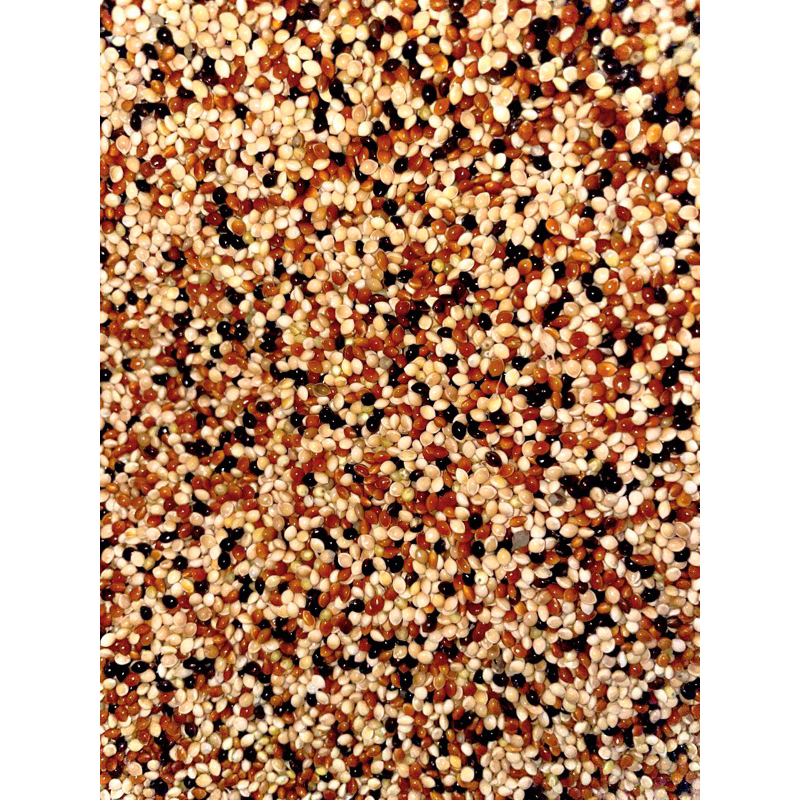 hạt cỏ thái ngũ sắc - 1kg thức ăn cho chim