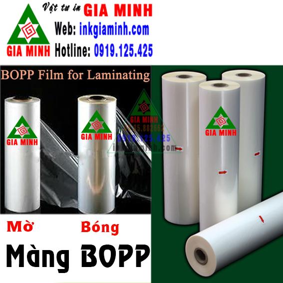 [HCM]Màng Bopp -  Màng bóng cán nóng - 310mm